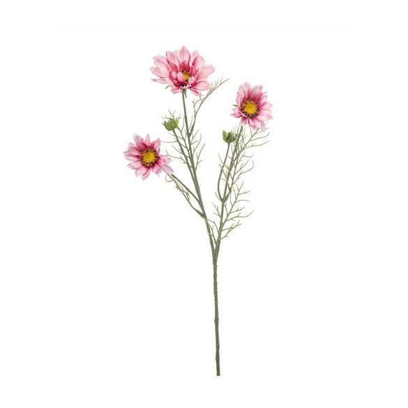 Cosmos spray 56cm - Rózsaszín