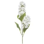 Hydrangea paniculata spray x2 76cm - Fehér