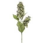 Hydrangea paniculata spray x2 76cm - Zöld