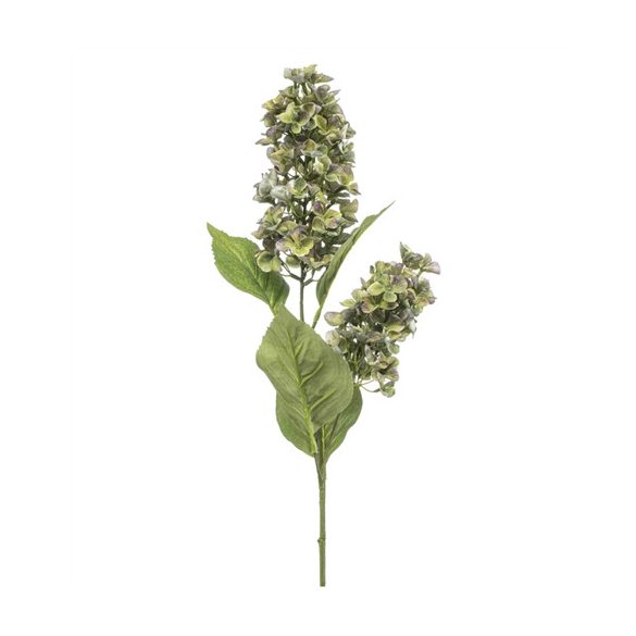 Hydrangea paniculata spray x2 76cm - Zöld