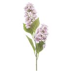 Hydrangea paniculata spray x2 76cm - Világos rózsaszín