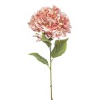 Hydrangea XL spray 90cm - Barack