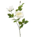 Rose liza spray x3 80cm - Fehér