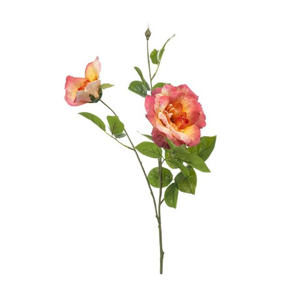 Rose liza spray x3 80cm - Barack