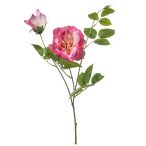 Rózsa Liza spray x3 80cm - Rózsaszín