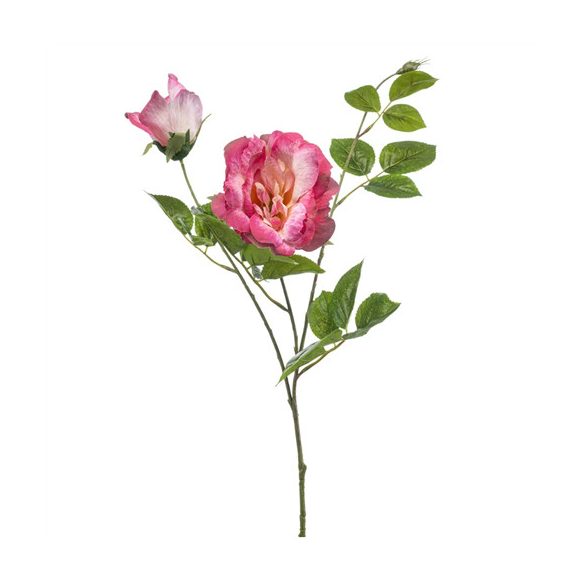 Rózsa Liza spray x3 80cm - Rózsaszín