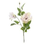 Rózsa Liza spray x3 80cm - Világos lila