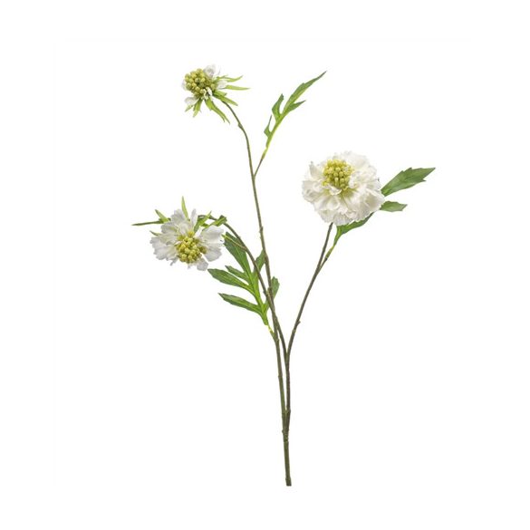 Scabiosa spray x3 62cm - Fehér