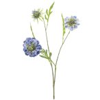 Scabiosa spray x3 62cm - Kék
