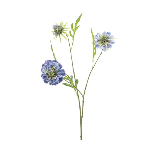 Scabiosa spray x3 62cm - Kék