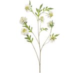 Scabiosa spray  113cm - Fehér