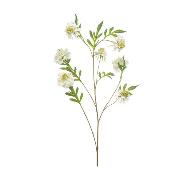 Scabiosa spray  113cm - Fehér