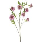 Scabiosa spray 113cm - Világos rózsaszín