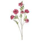 Scabiosa spray 113cm - Rózsaszín
