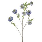 Scabiosa spray 113cm - Kék