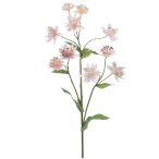 Astrantia spray 70cm - Világos rózsaszín