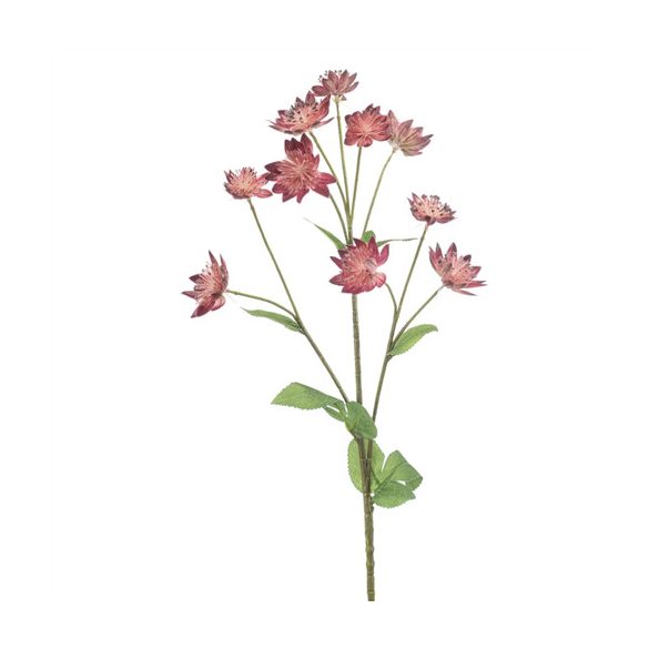 Astrantia spray 70cm - Sötét rózsaszín