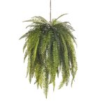 Nephrolepis hanging deco 140cm