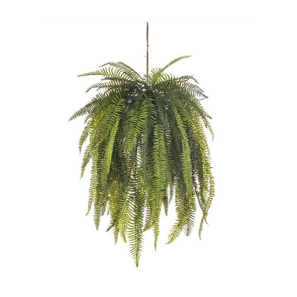 Nephrolepis hanging deco 140cm