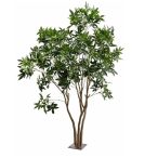 Pachira multi trunk tree 285cm (knock down packing)