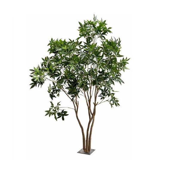 Pachira multi trunk tree 285cm (knock down packing)