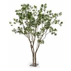 Laurel multi trunk tree 285cm (fém talpon)