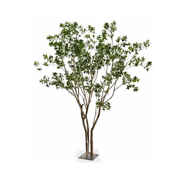 Laurel multi trunk tree 285cm (fém talpon)