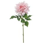 Dahlia spray RT 70cm - Rózsaszín