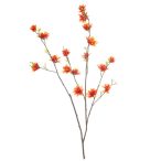 Hamamelis spray 110cm - Narancs