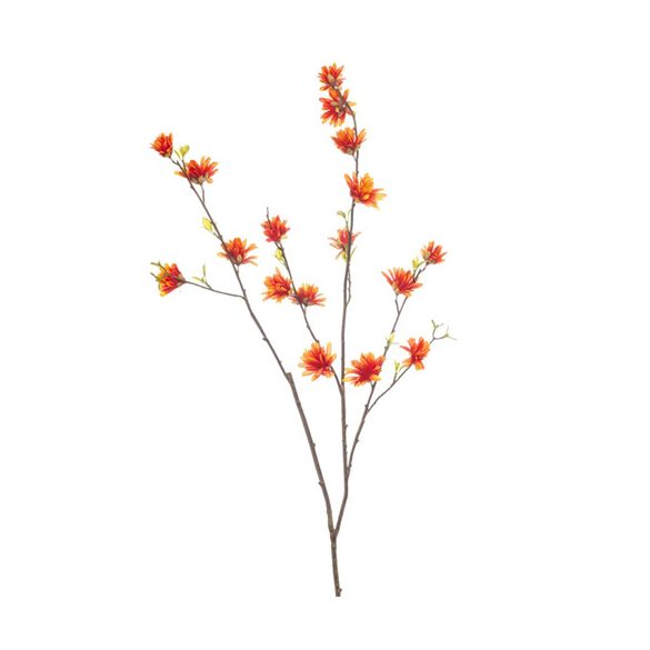 Hamamelis spray 110cm - Narancs