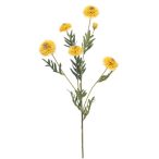 Tagetes spray 70cm - Sárga