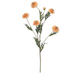Tagetes spray 70cm - Barack