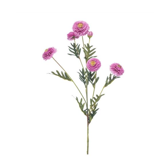 Tagetes spray 70cm - Lila