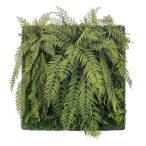 Fern mix living wall 100x100cm