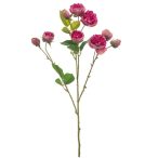 Rose mini spray 65cm - Beauty