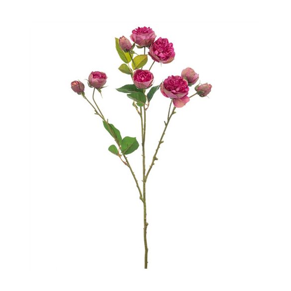 Rose mini spray 65cm - Beauty