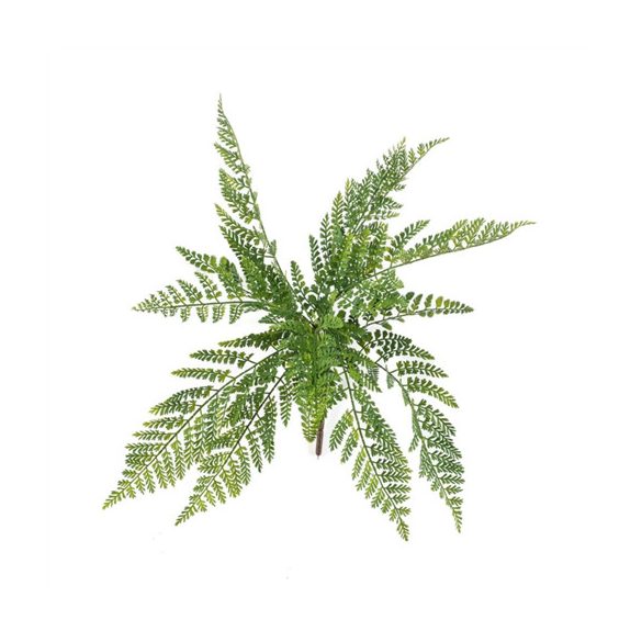 Asplenium fern bush 90cm (UV/időjárás álló)