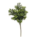 Buxus bush x7 UV 30cm