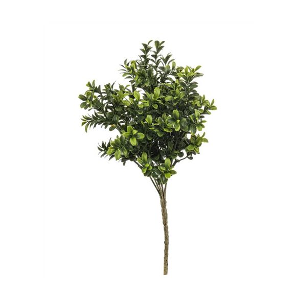 Buxus bush x7 UV 30cm