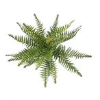 Forrest fern bush x20 (UV/időjárás álló) 35cm