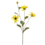 Aster spray 82cm - Sárga