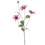 Aster spray 82cm - Rózsaszín