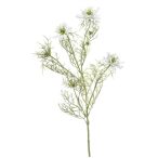 Nigella spray 68cm - Fehér