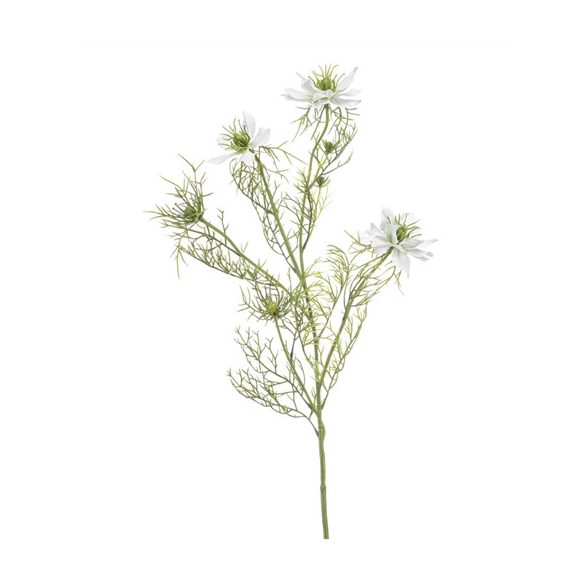Nigella spray 68cm - Fehér
