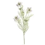Nigella spray 68cm - Világos lila