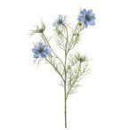 Nigella spray 68cm - Kék