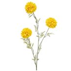 Tagetes spray x3 80cm - Sárga