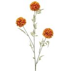 Tagetes spray x3 80cm - Narancs