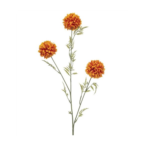 Tagetes spray x3 80cm - Narancs