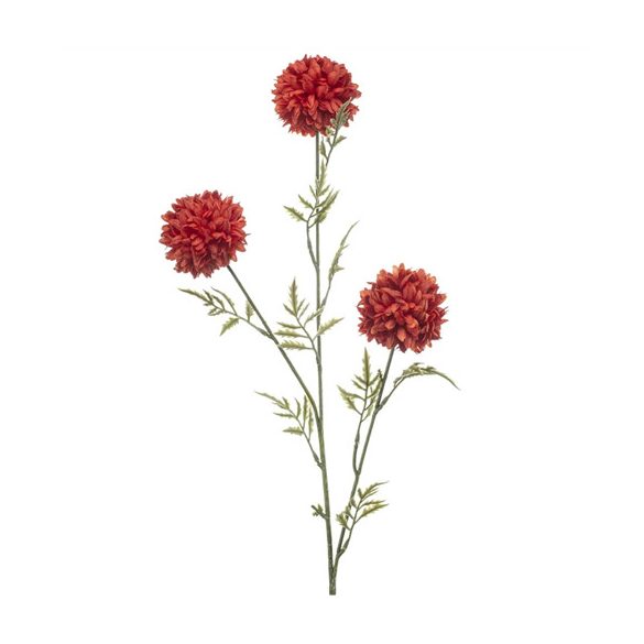 Tagetes spray x3 80cm - Piros